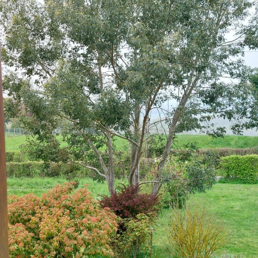 Detente A La Campagne Myennes Exterior photo